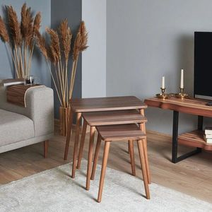 Set masute 3 piese, Hanah Home, Tuval 060, Maro imagine