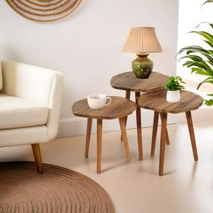 Set masute 3 piese, Hanah Home, Tuval 080, Nuc / Stejar imagine