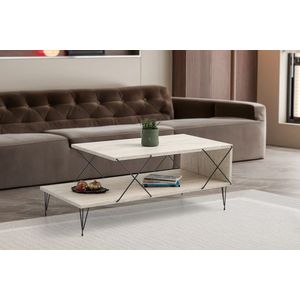 Masuta de cafea, Hanah Home, Loire, 100x40x50 cm, Travertin / Negru imagine