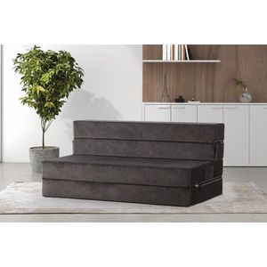 Canapea extensibila 2 locuri, Atelier del Sofa, 363SLD1131, Antracit imagine
