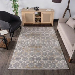 Covor, Leo 2956, 80x150 cm, Bej imagine