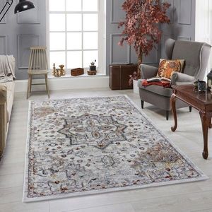 Covor, HG117, 160x230 cm, Crem / Gri imagine