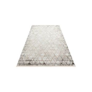 Covor, Tly 01, 200x290 cm, Gri / Bej imagine