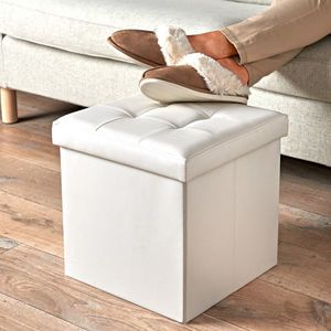 Scaun cu spațiu de depozitare imagine