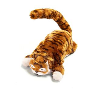 Pisica Tabby imagine