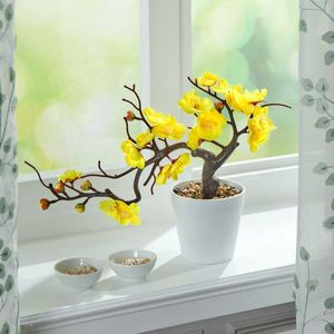 Floare în ghiveci imagine