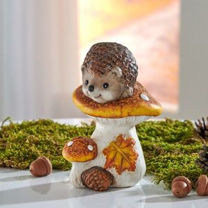 Ciuperci decorative cu arici imagine