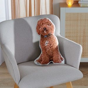 Pernă decorativă Un imagine