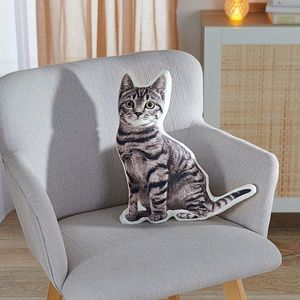 Pernă Pisică imagine