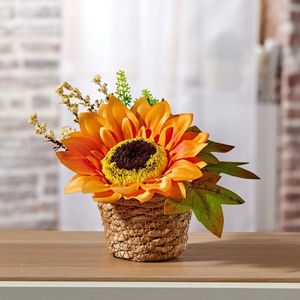 Floarea-soarelui imagine