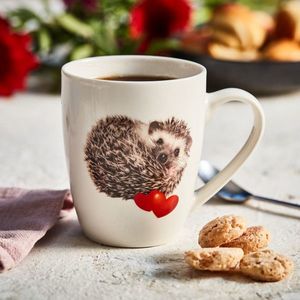 Cana Ariciul Basilico imagine