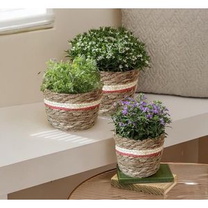 Huse pentru ghivece din iarbă de mare, set 3 buc. imagine