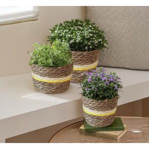 Huse pentru ghivece din iarbă de mare, set 3 buc. imagine