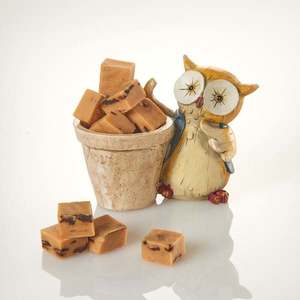 Bufniță de cratiță cu fudge de vanilie imagine