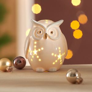 Bufnită LED imagine