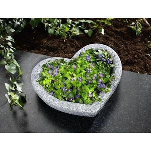 Ghiveci de flori Inimă imagine
