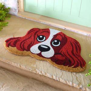 Covoraș Susi imagine