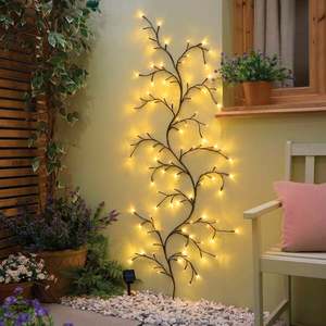 Liană solară de salcie imagine