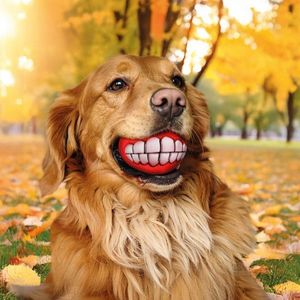 Jucărie de ros pentru câini imagine