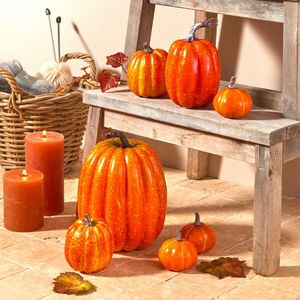 7 dovleci decorativi imagine