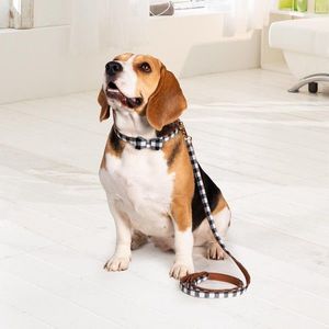 Set de zgărzi și lesă pentru câini Karo imagine