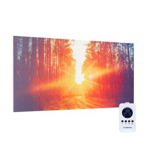 Klarstein Wonderwall Air Infinite, încălzitor cu infraroșu, imagine, 120 x 60 cm, 720 W, montat pe perete, telecomandă imagine