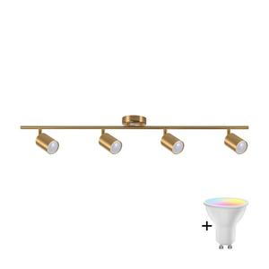 Spot LED RGBW reglabil GOLDI 4xGU10/6, 5W/230V, auriu imagine