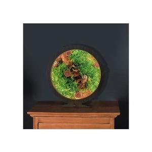 Li-Go 23654 - Decorațiune de masă LED dimabilă LED/12W/230V 20x22 cm mușchi imagine