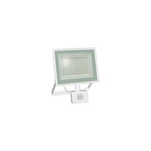 Proiector LED cu senzor de mișcare NOCTIS LUX 3, 50 W, 230 V, 4000 K, IP44, alb imagine