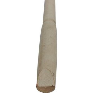 Coada lopata imagine