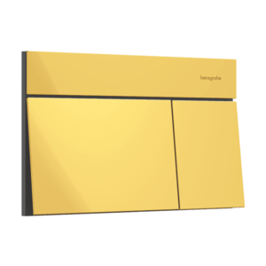 Clapeta Hansgrohe iFrame Element E gold optic imagine