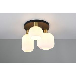 Plafoniera Diva, TRIO, 39x28.5 cm, 10W, 3x E27, metal, multicolor imagine