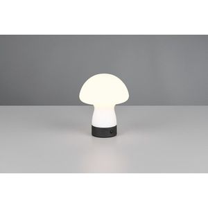 Lampa de masa Dooley, RL, 14x18 cm, 1.5W, 1x SMD, sticla, alb mat/negru imagine