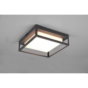 Plafoniera pentru exterior Witham, TRIO, 30x30x10 cm, 14W, 1x SMD, metal, antracit imagine