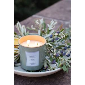 Set de lumanari, Le Jardin Citrus Sage, Sticla, Verde imagine