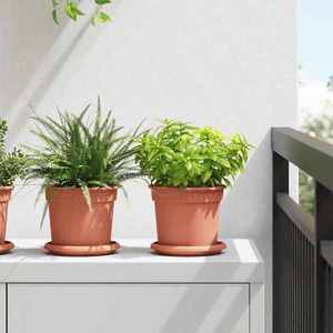 vidaXL Tavă rotundă pentru flori 24 pcs Roșu cărămidă Ø 14 x 2 cm imagine