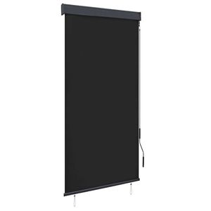 vidaXL Jaluzea tip rulou de exterior, antracit, 100 x 250 cm imagine