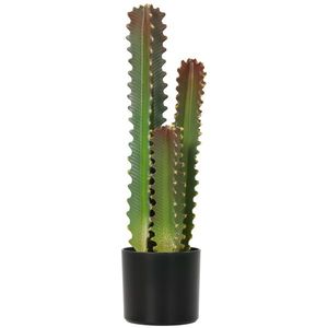 HOMCOM Cactus Artificial 66 cm Plantă Artificială Decorativă cu Ghiveci și 3 Frunze pentru Decor Interior Verde | Aosom Romania imagine