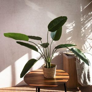 Planta artificiala Tropical Zone, Homla, 90 cm, plastic, verde imagine