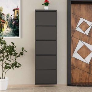 Pantofar, Hanah Home, 5 Piece Metal, 50x169x15 cm, Metal, Antracit imagine