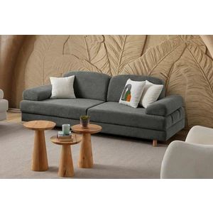 Canapea extensibila 3 locuri, Atelier del Sofa, 752EST1119, Lemn de carpen;PAL, Antracit imagine
