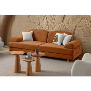 Canapea extensibila 3 locuri, Atelier del Sofa, 752EST1121, Lemn de carpen;PAL, Caramiziu imagine