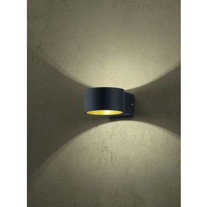Aplica de perete Lacapo, TRIO, 10.5x6 cm, 4.3W, 1x SMD, metal, negru mat/auriu imagine