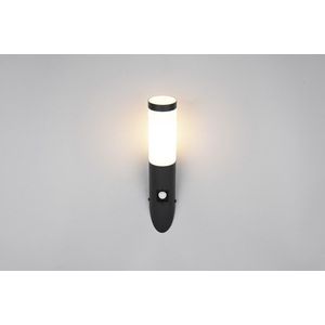 Aplica de perete pentru exterior cu senzor Trioto, TRIO, 7.5x17x39 cm, 25W, 1x E27, inox, negru mat/alb imagine