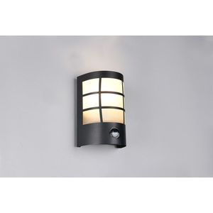 Aplica de perete pentru exterior cu senzor Sintra, RL, 14x10.5x20 cm, 25W, 1x E27, inox, negru mat imagine