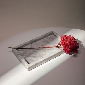 Tavi Decorative imagine