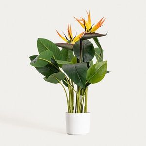 Planta artificiala Strelitzia, Botanic, Homla, 75 cm, plastic, multicolor imagine