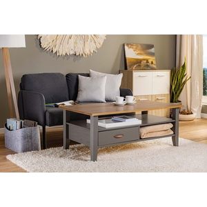 Masuta de cafea Luzerna, Inter Link, 115x45x60 cm, lemn, gri/sepia imagine