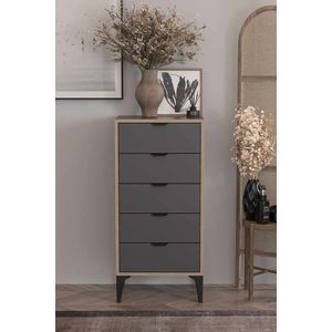 Dulap, Hanah Home, Arden, 50x105x40 cm, Antracit imagine