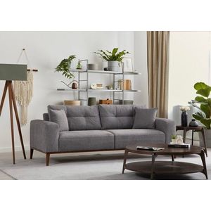 Canapea extensibila 3 locuri, Atelier del Sofa, 560ARE2362, Gri deschis imagine